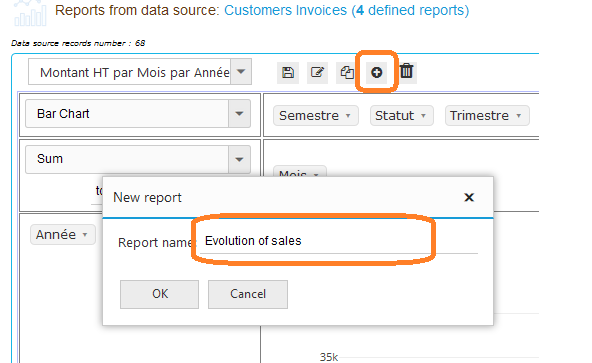 PivotReports - Example - Step 2 : New report title